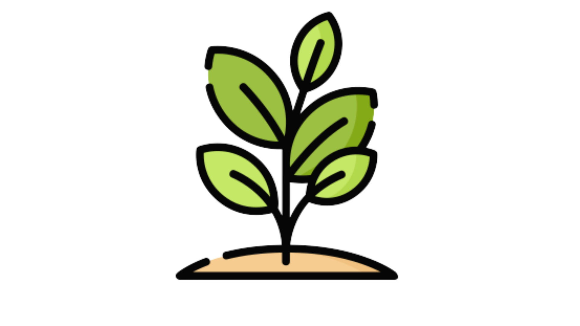Planta em vaso