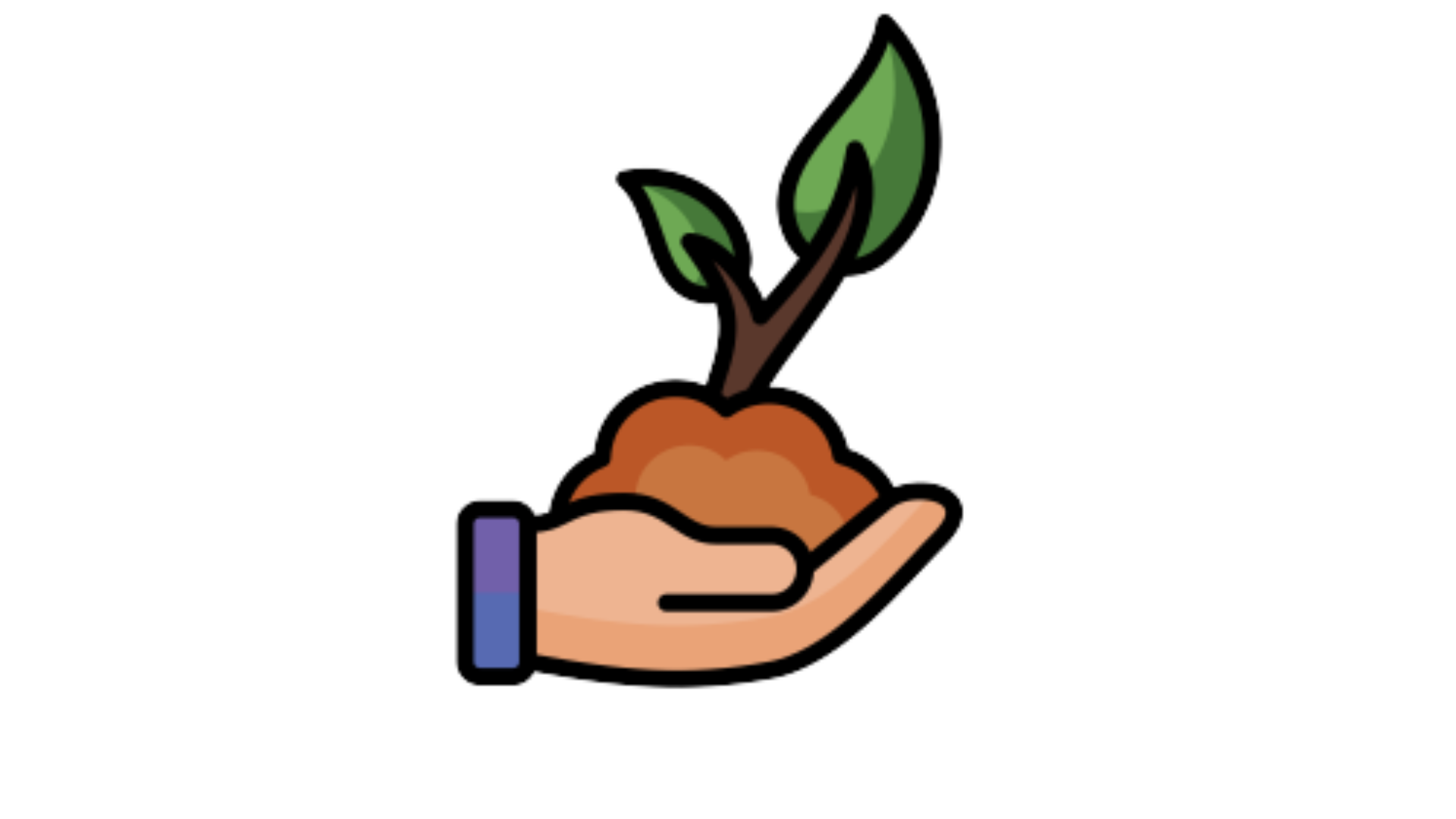 Planta em vaso